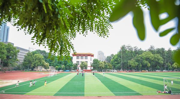 為什么選擇青島滿天星職業培訓學校？