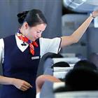 航空服務（票務、安檢方向）、航空乘務定向委培